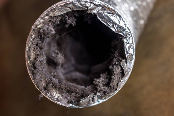 Best Air Duct Cleaning Company Near Me  in Tillamook, OR