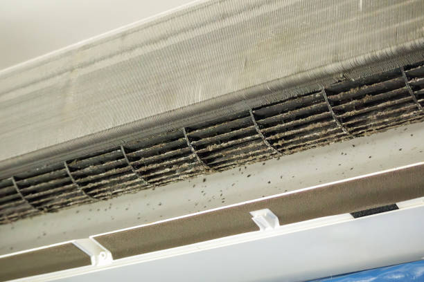 Best Air Vent Cleaning Services  in Tillamook, OR